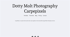 Desktop Screenshot of carpepixels.com