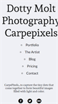 Mobile Screenshot of carpepixels.com