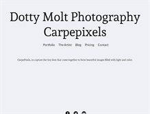 Tablet Screenshot of carpepixels.com